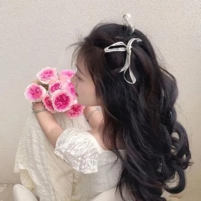 达科塔的夏天